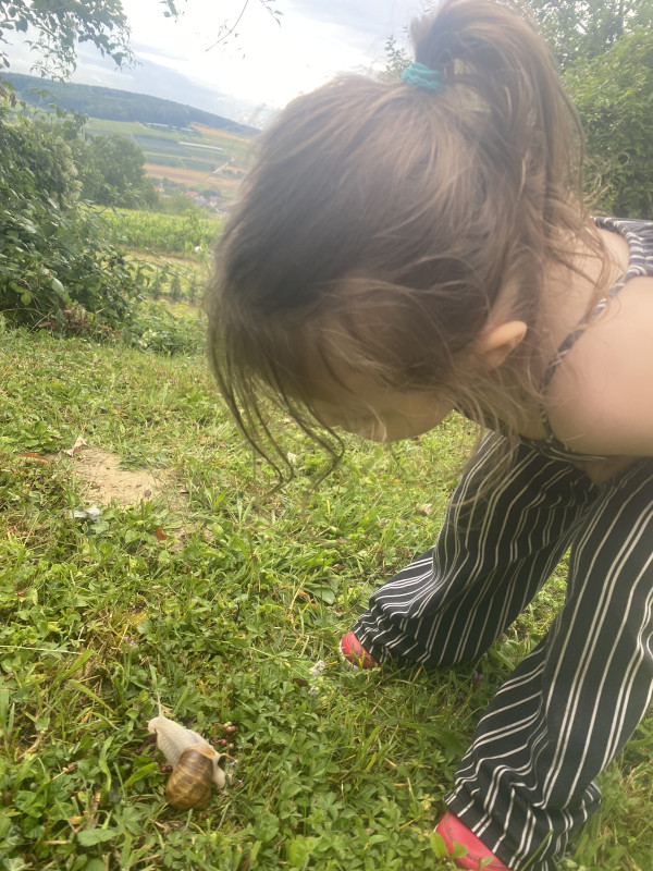 Natur entdecken